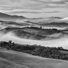 Toscanafeeling im Nebel 