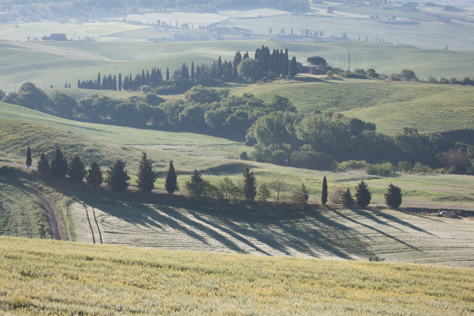 Toscane