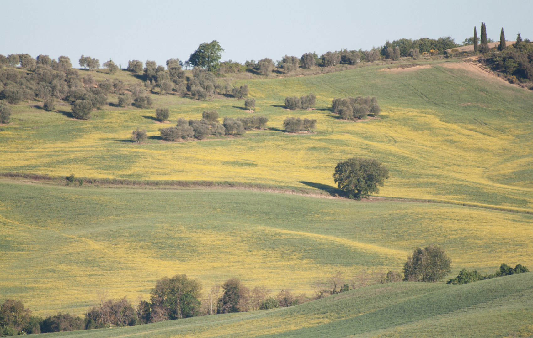 Toscane