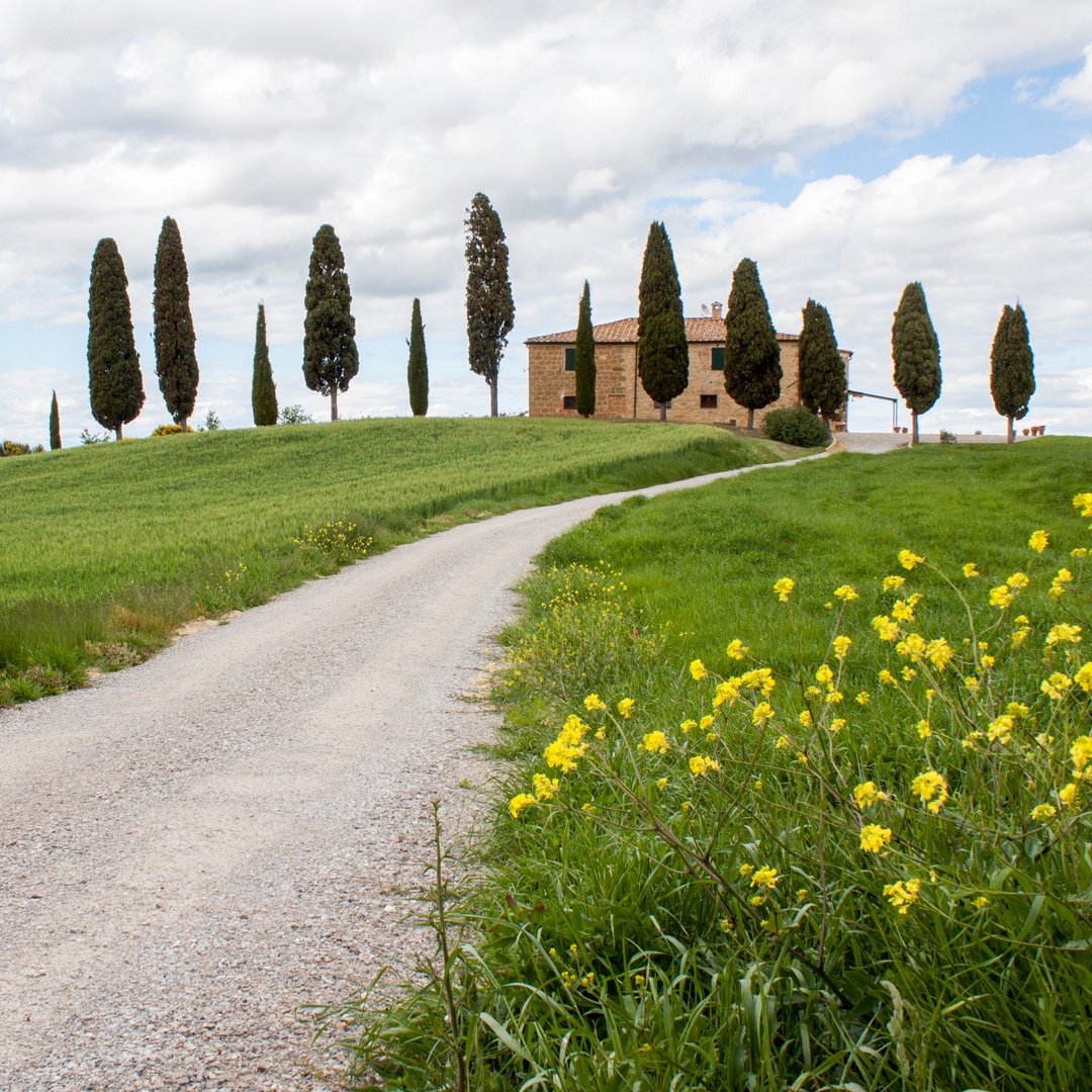 Toscane