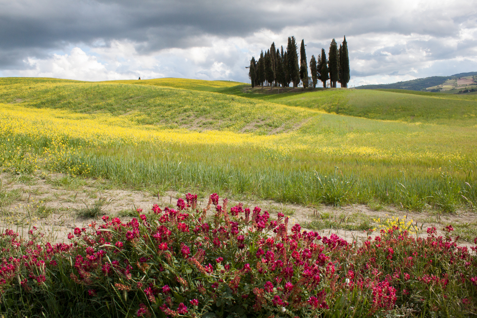 Toscane