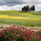 Toscane