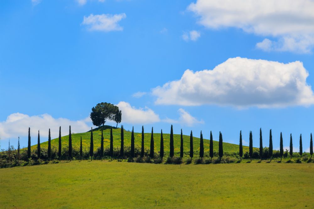 Toscane, mai 2019