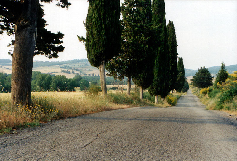 toscanian road