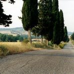 toscanian road