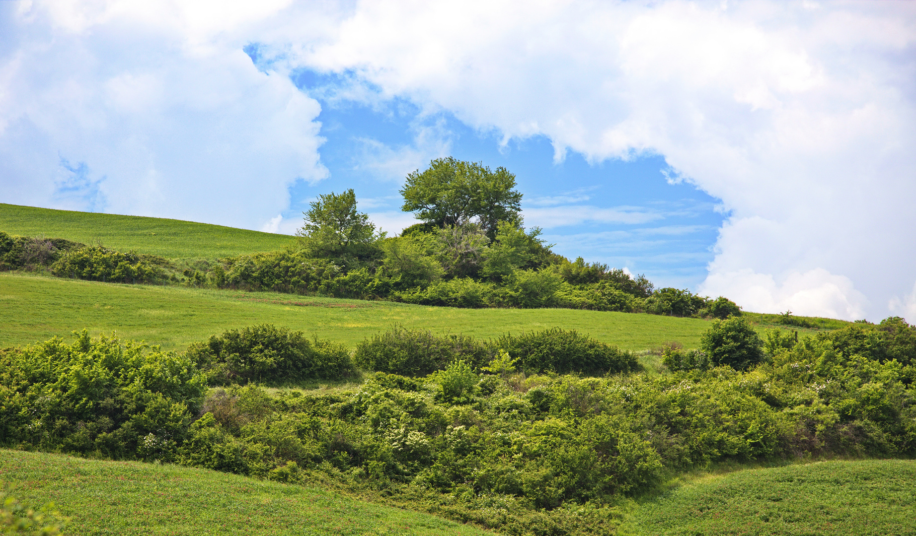 Toscanische Landschaft