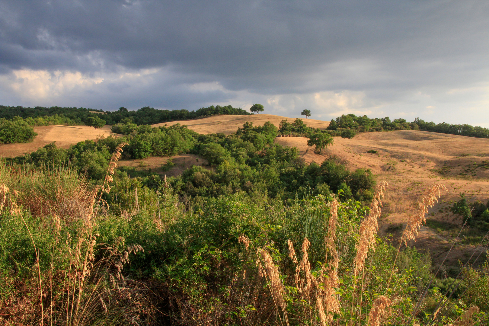 toscanische Landschaft_2017