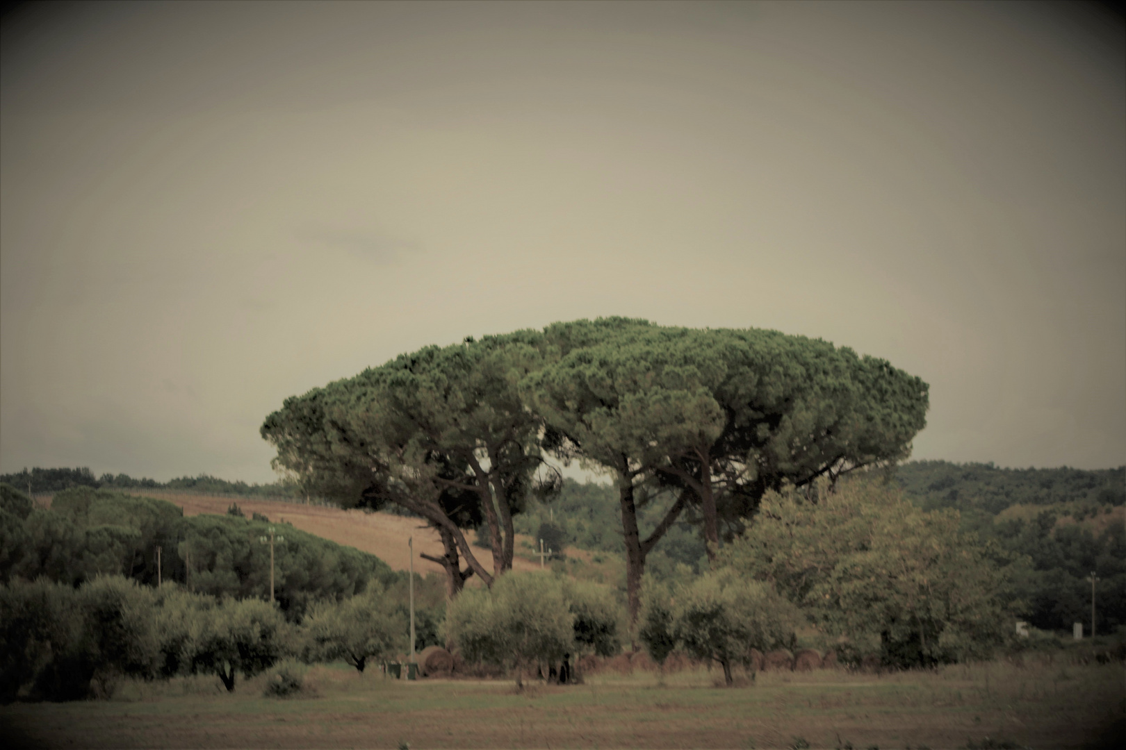 Toscanische Landschaften