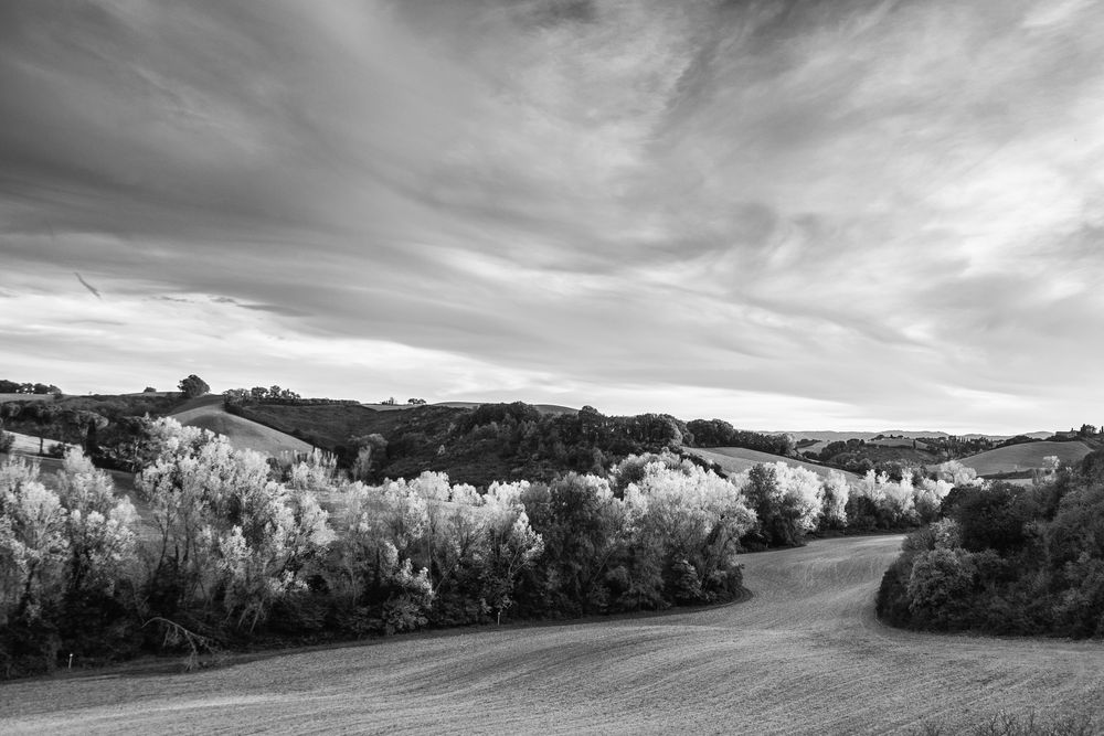 Toscanischer Herbst