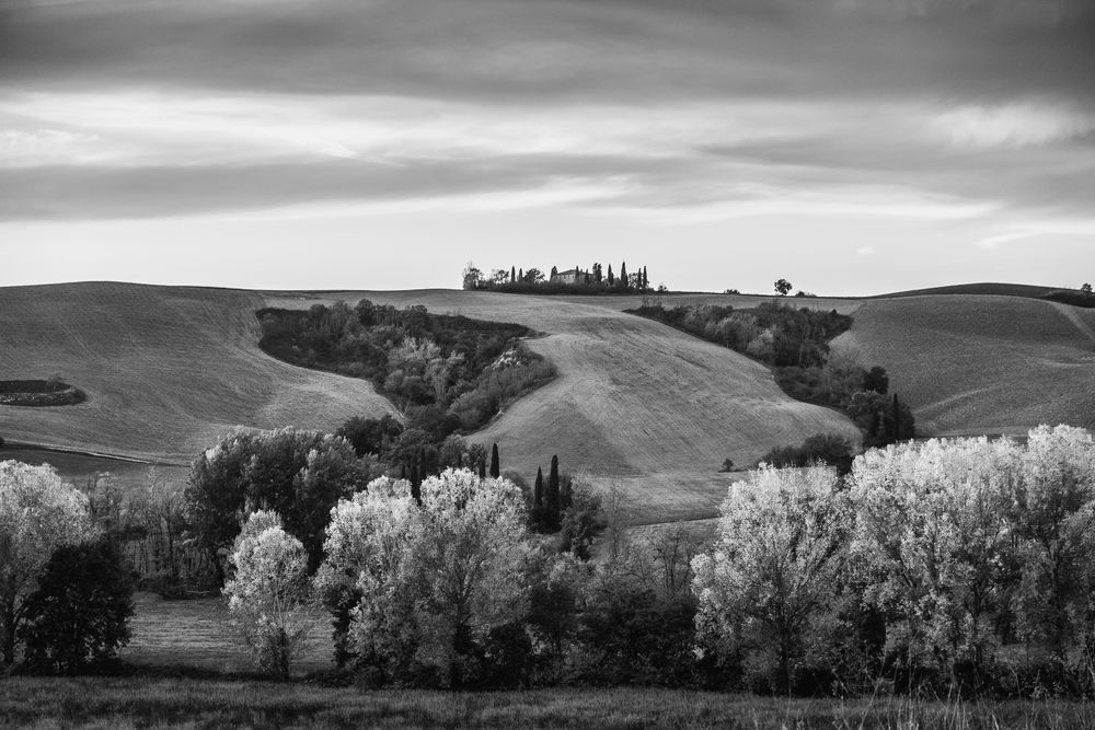 Toscanischer Herbst II