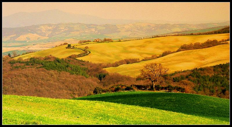 toscanischer Weitblick