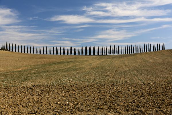 Toskana #01 Val d'Orcia