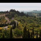 Toskana #11 - toskanische Kurven