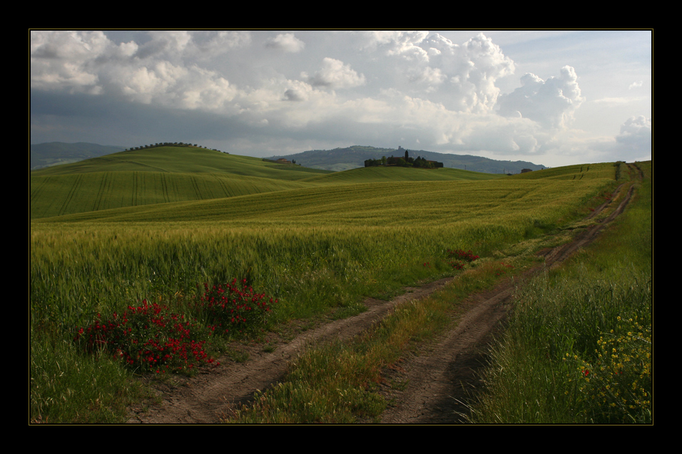 Toskana #14 - im Val d´Orcia