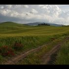 Toskana #14 - im Val d´Orcia