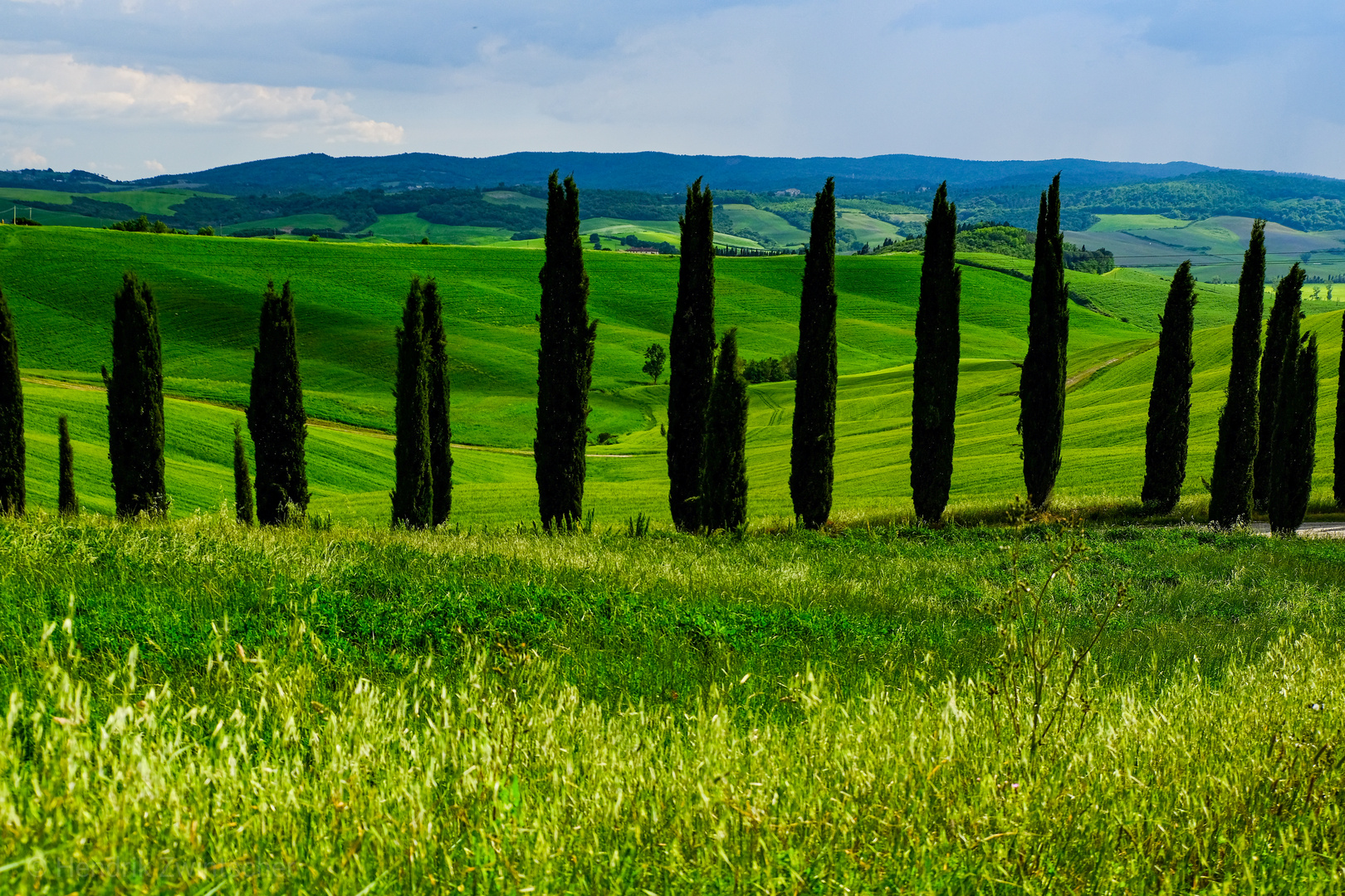 Toskana 2019 Crete Senesi