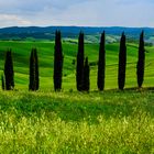 Toskana 2019 Crete Senesi