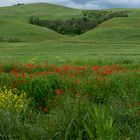 Toskana 2019 Crete Senesi