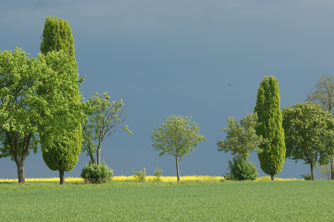 Toskana ähliche Landschaft in Mittelfranken-2