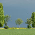 Toskana ähliche Landschaft in Mittelfranken-2