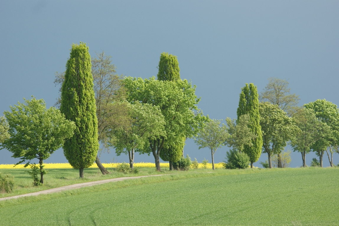 Toskana ähnliche Landschaft in Mittelfranken