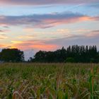 Toskana am Niederrhein