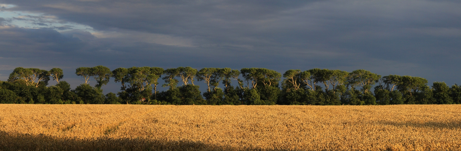 Toskana auf Fehmarn