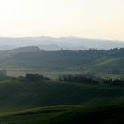 Toskana - bei Castelfiorentino...