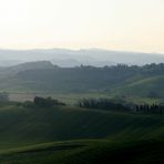 Toskana - bei Castelfiorentino...