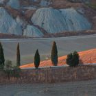 Toskana, Crete Senesi