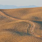 Toskana, Crete Senesi