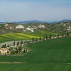 Toskana - Crete Senesi im Frühjahr (01)