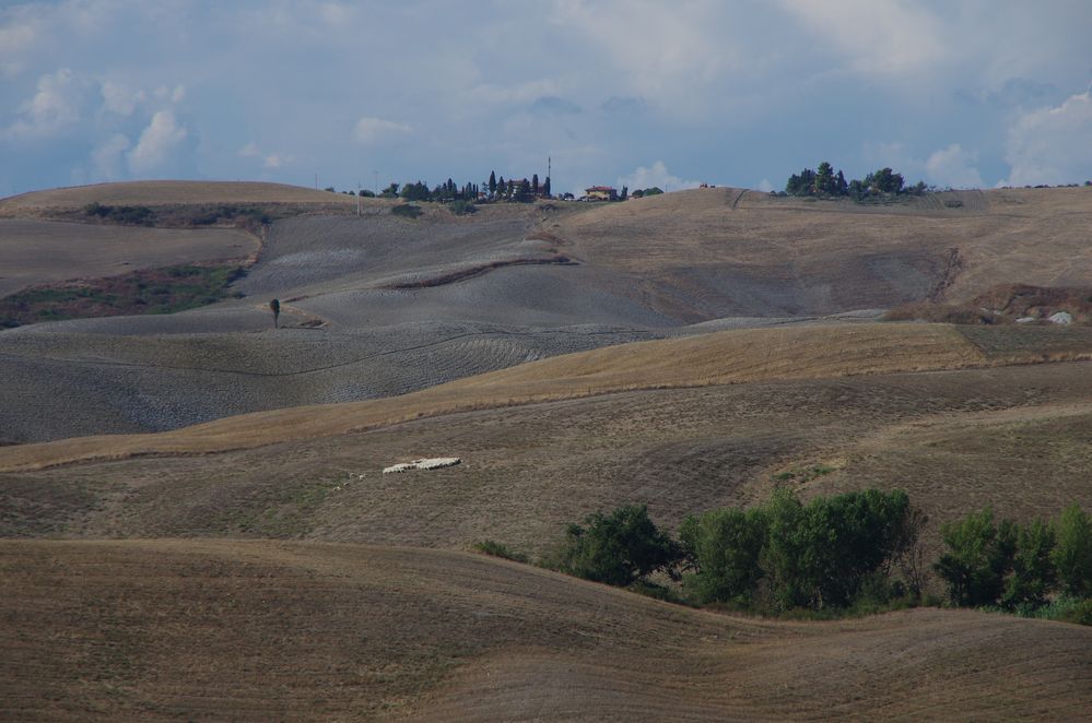 Toskana - die Landwirtschaft 2.