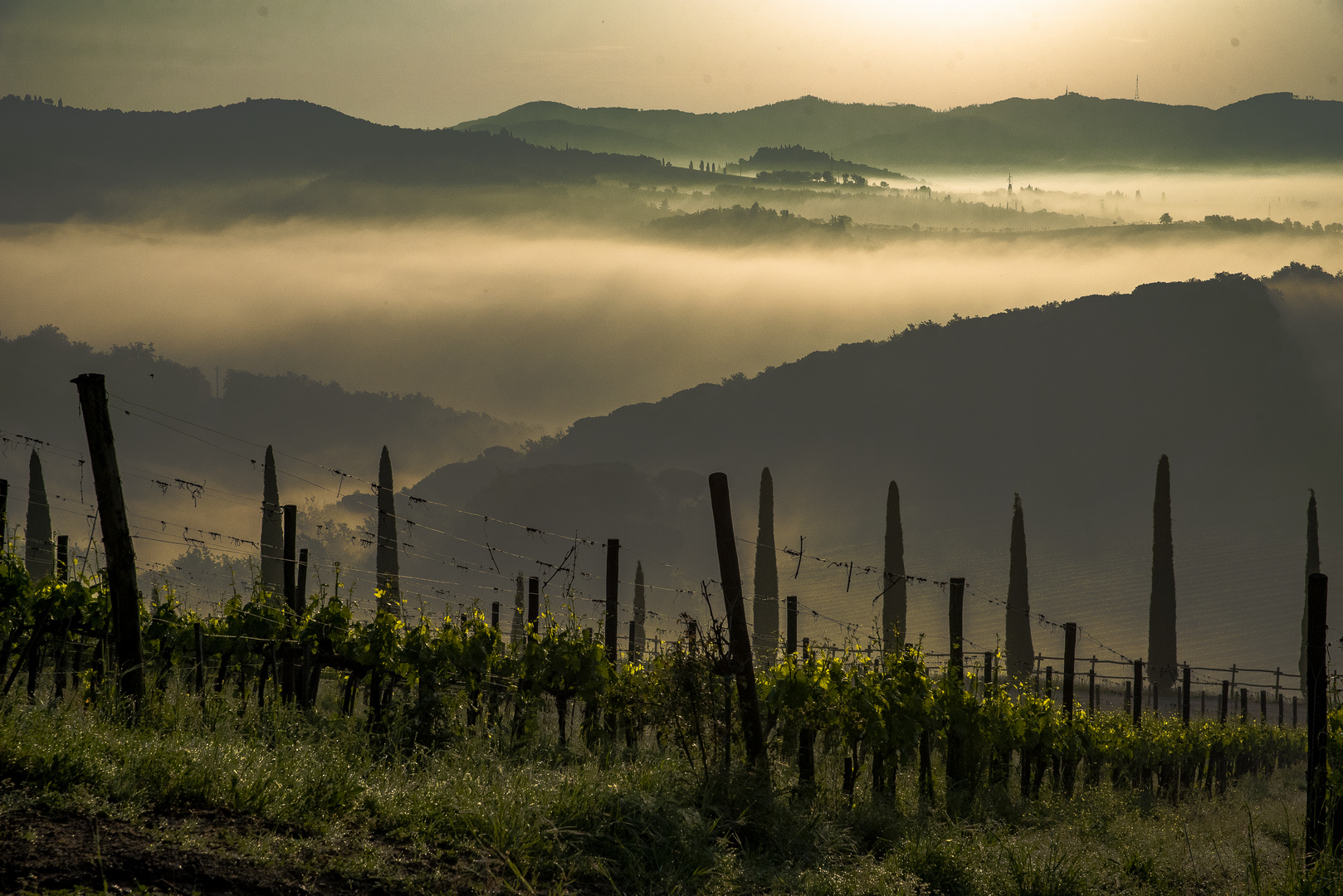 Toskana - Frühnebel im Chianti