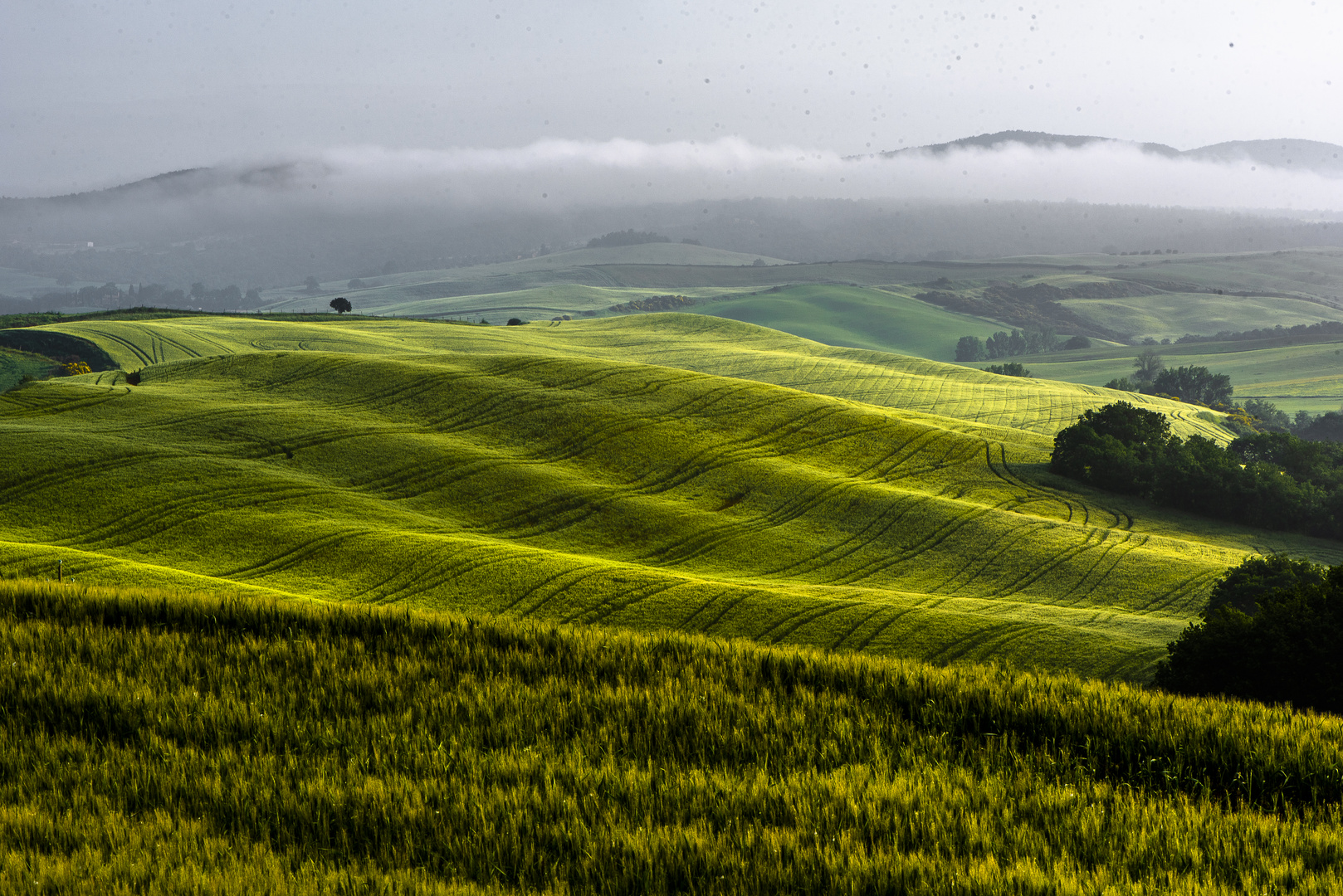 Toskana - Grüne Wellen im Val d`Orcia