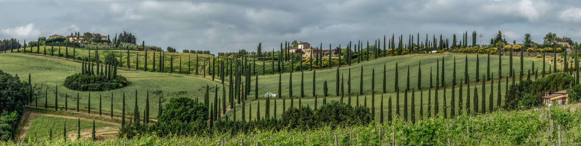 Toskana, im Chianti Colli Senesi