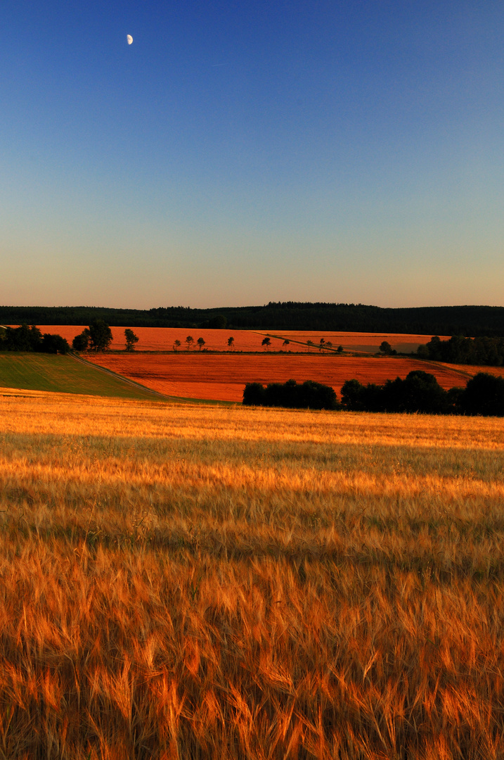 Toskana im Spessart