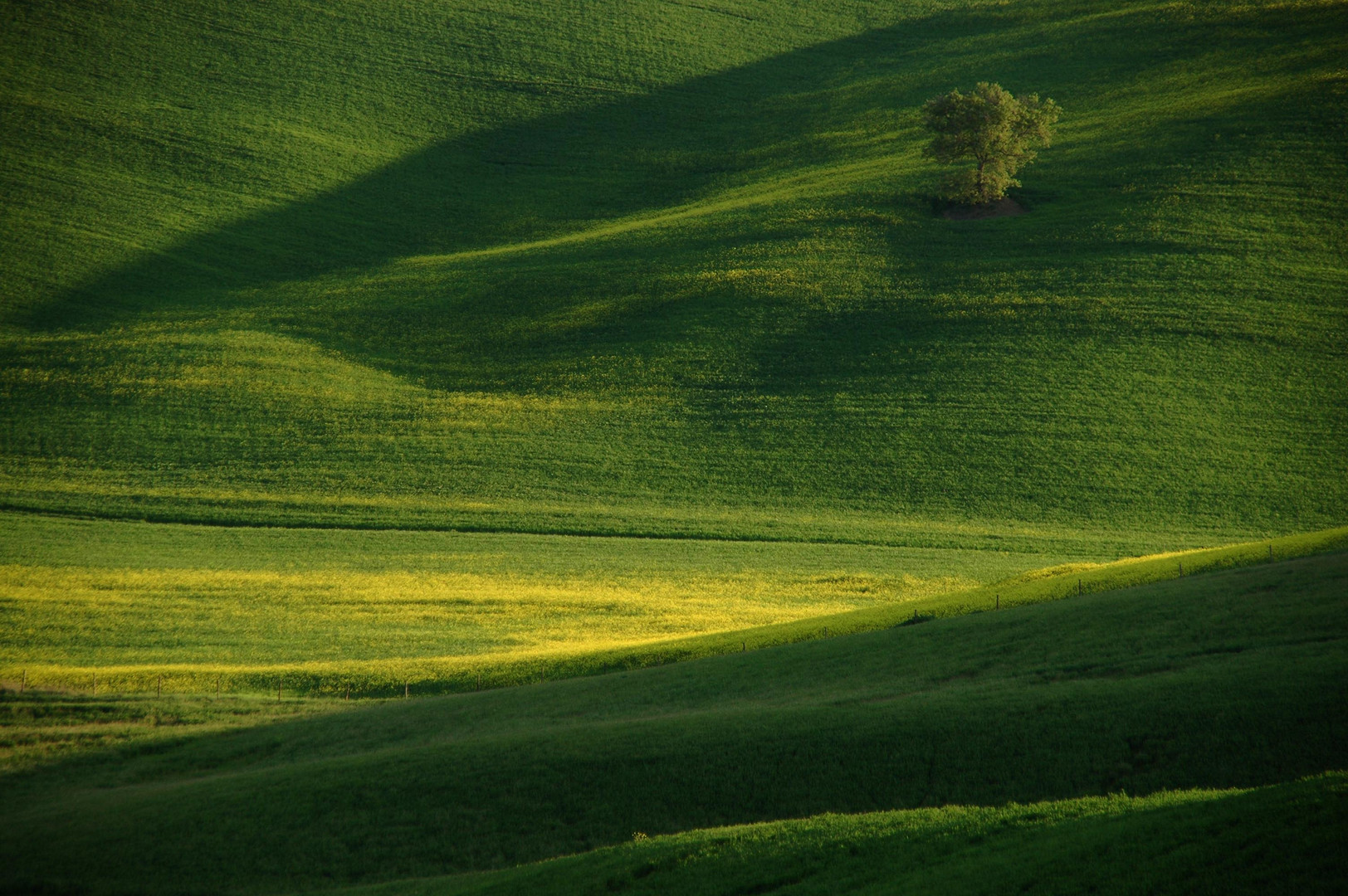 Toskana in grün