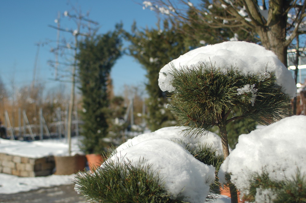 Toskana in Schnee und Eis