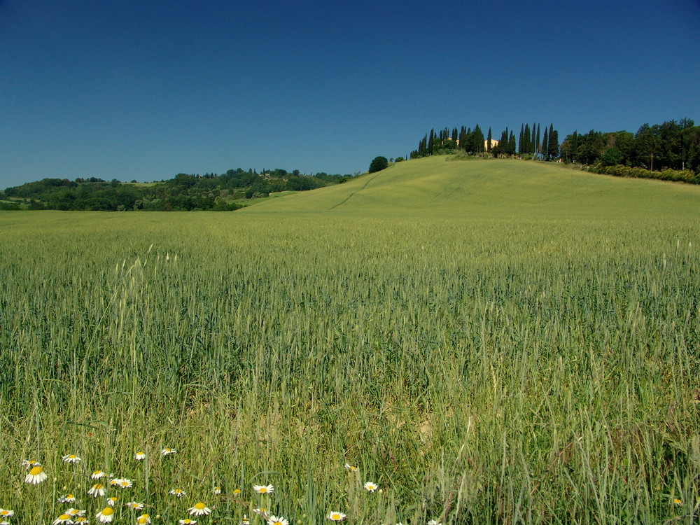 Toskana Landschaft