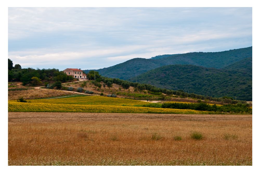 Toskana Landschaft