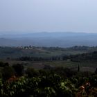 Toskana: Landschaft bei San Gimignano
