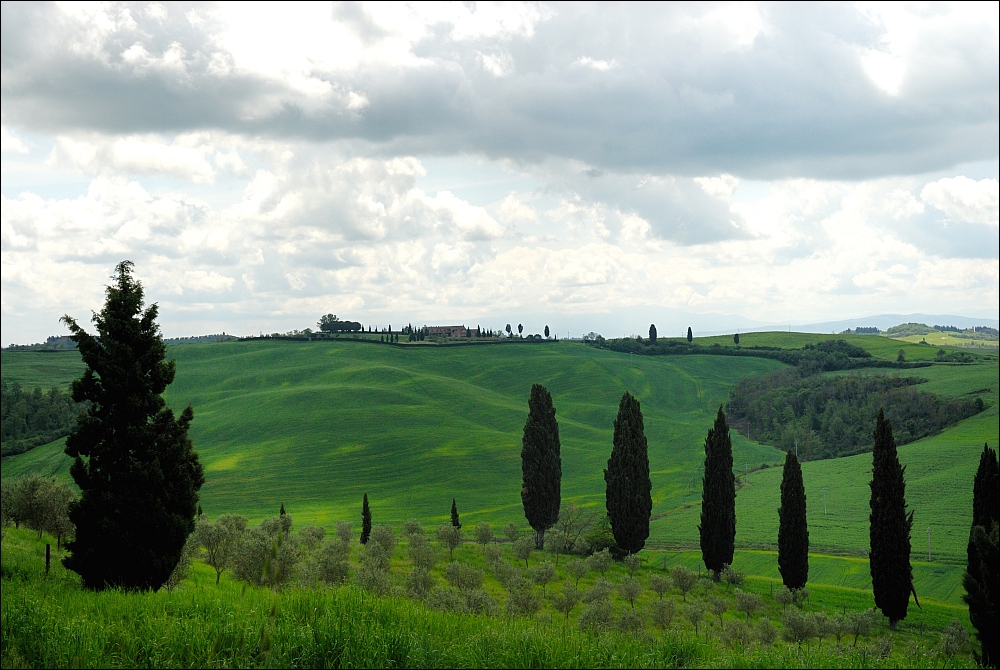 Toskana - Landschaft bei Siena