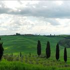 Toskana - Landschaft bei Siena