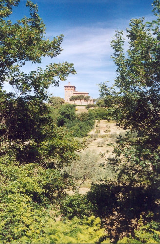 Toskana-Landschaft (Region Montalcino) I