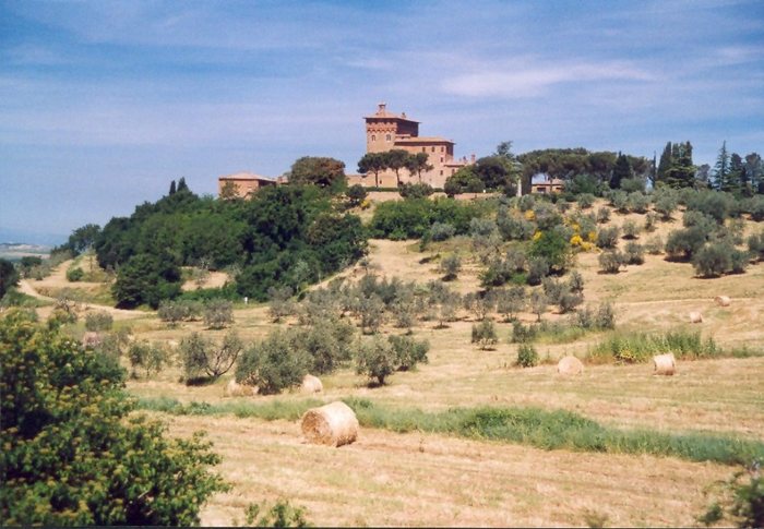 Toskana-Landschaft (Region Montalcino) II