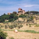 Toskana-Landschaft (Region Montalcino) II