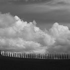 Toskana Landschaft schwarz/weiss