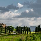 Toskana - Landsitz bei Pienza (2)