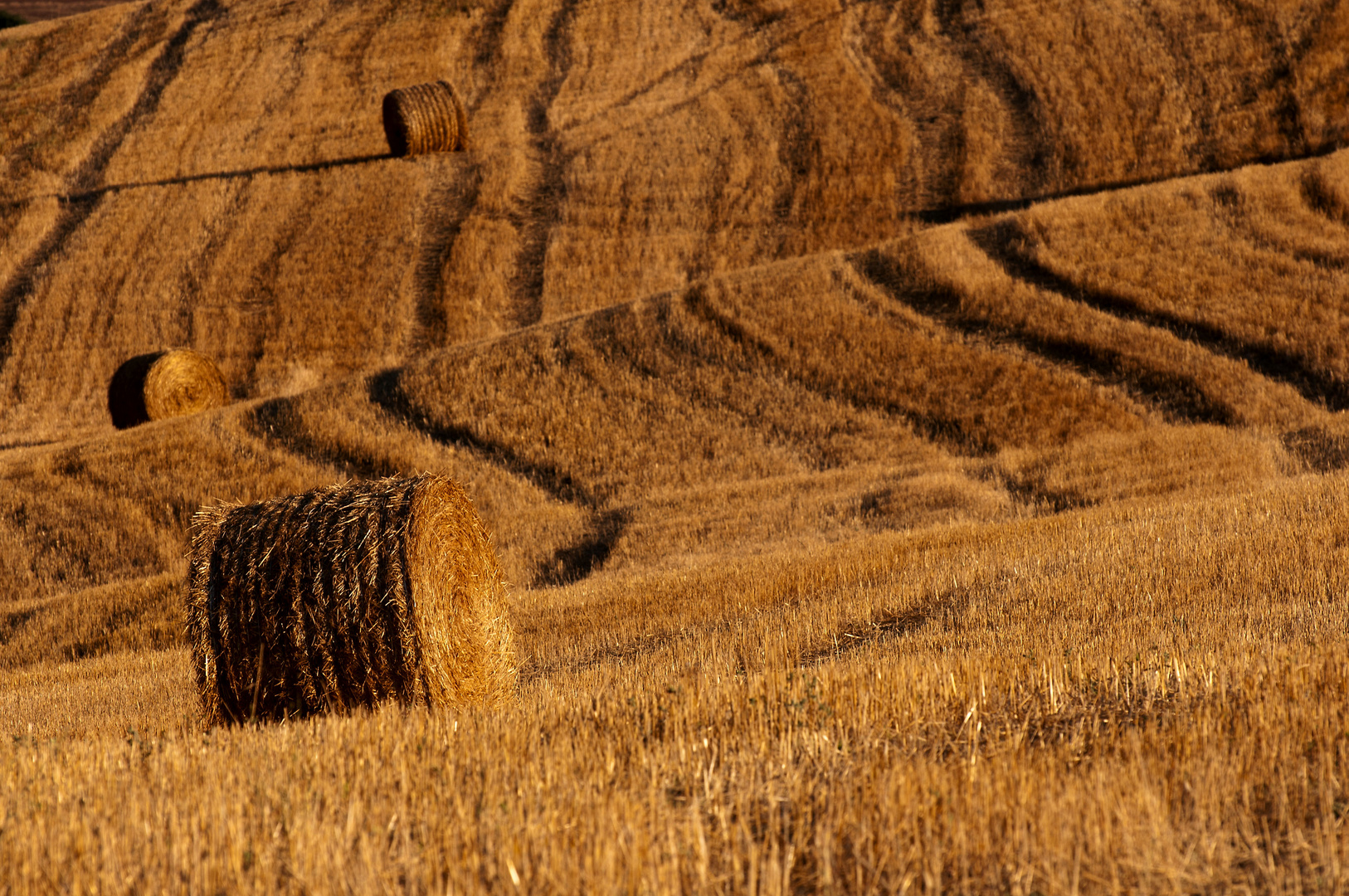 Toskana, Le Crete, Pienza